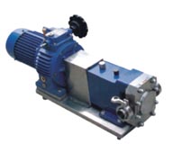 凸輪轉子泵 查看凸輪轉子泵實際圖片